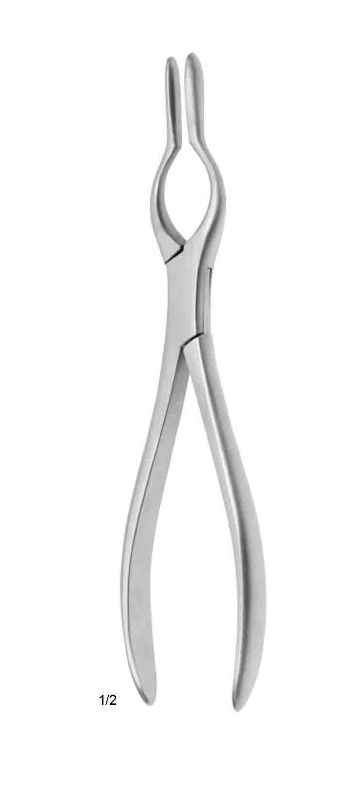 COTTLE BURUN FORSEPS  SOL 23CM